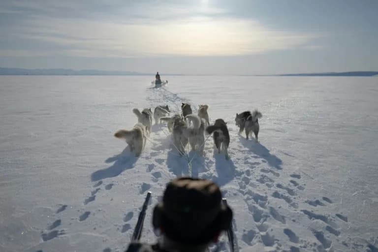 US Envoys Snubbed at Greenland's Premier Dogsled Race as Soft-Power Push Falters