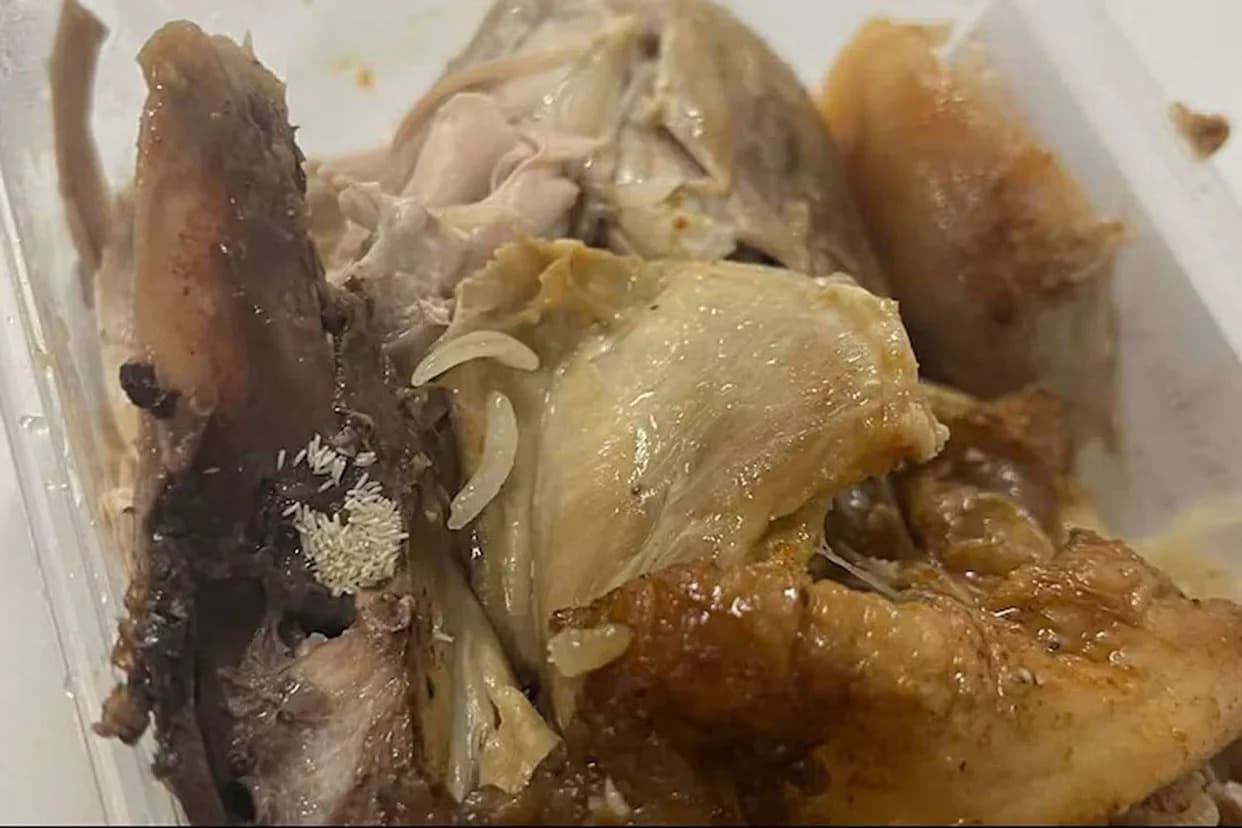 Maggot-Infested Meals Halt $1B Queensland Project as Union Demands Food-Safety Audits