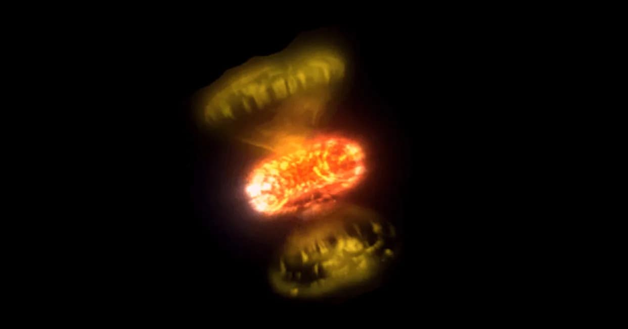 Stunning Interferometric Images Reveal Two Novae Erupting — Gamma Rays and a Rare Common Envelope