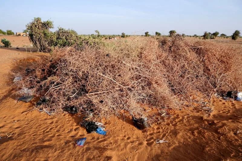 Drone Strikes Escalate Around Al-Obeid as Sudan War Tightens Its Grip