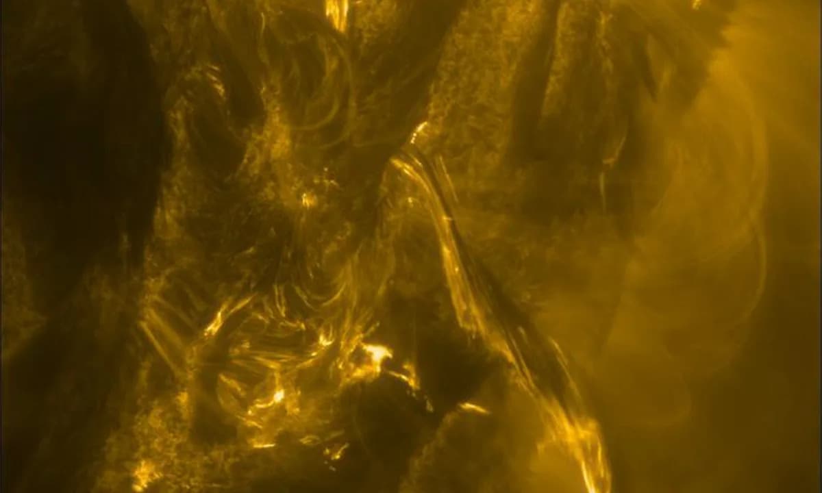 Solar Orbiter Captures Solar Flare Birth in Unprecedented Detail