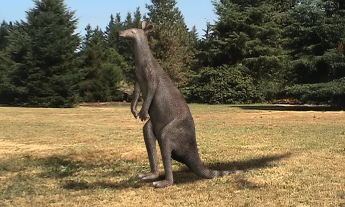 Giant Kangaroos Could Hop: New Study Rewrites How Pleistocene Macropods Moved