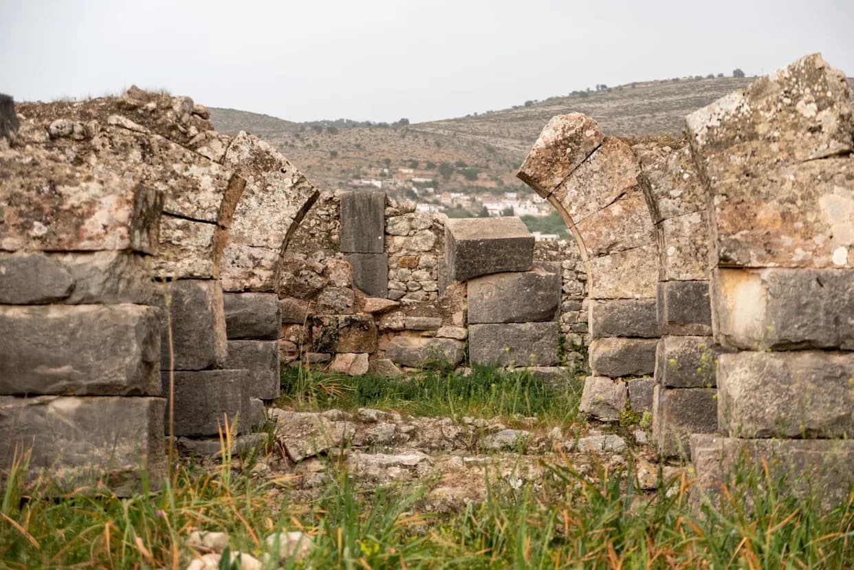 Satellite Sleuths and Volunteers Uncover Four Lost Roman Marching Camps in Germany