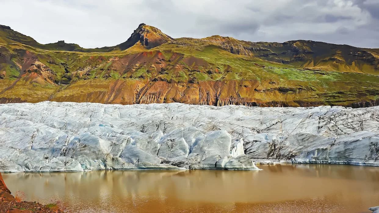 Arctic Faces Rising 'Bioclimatic Extremes' — Study Warns Of Lasting Ecological Impacts