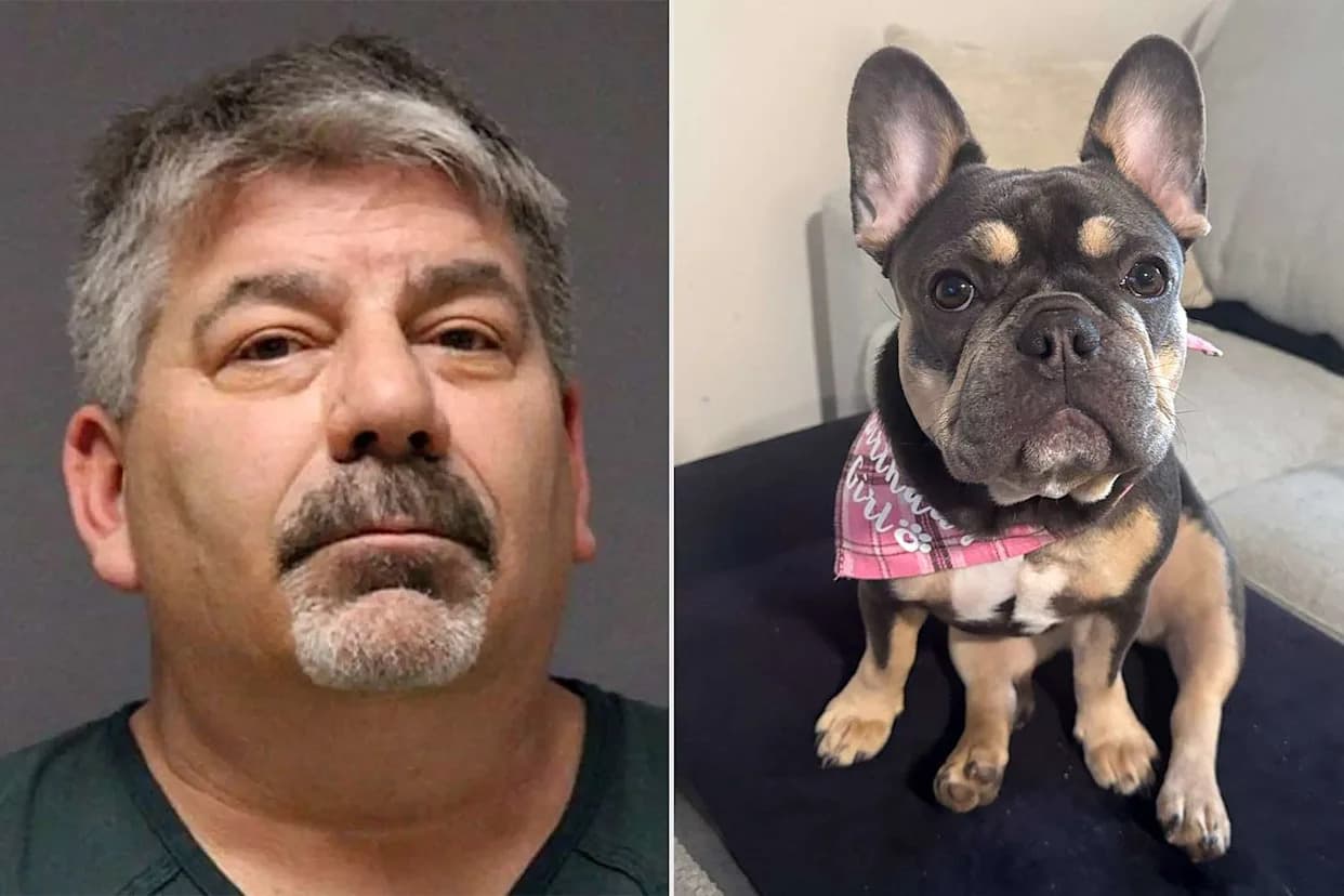 Man Rejects Plea, Heads To Jury Trial After Alleged Killing Of Stepdaughter’s French Bulldog