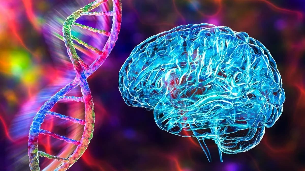 Eight Psychiatric Disorders Linked by Shared Genetic Signals — Study Maps Developmental Variants