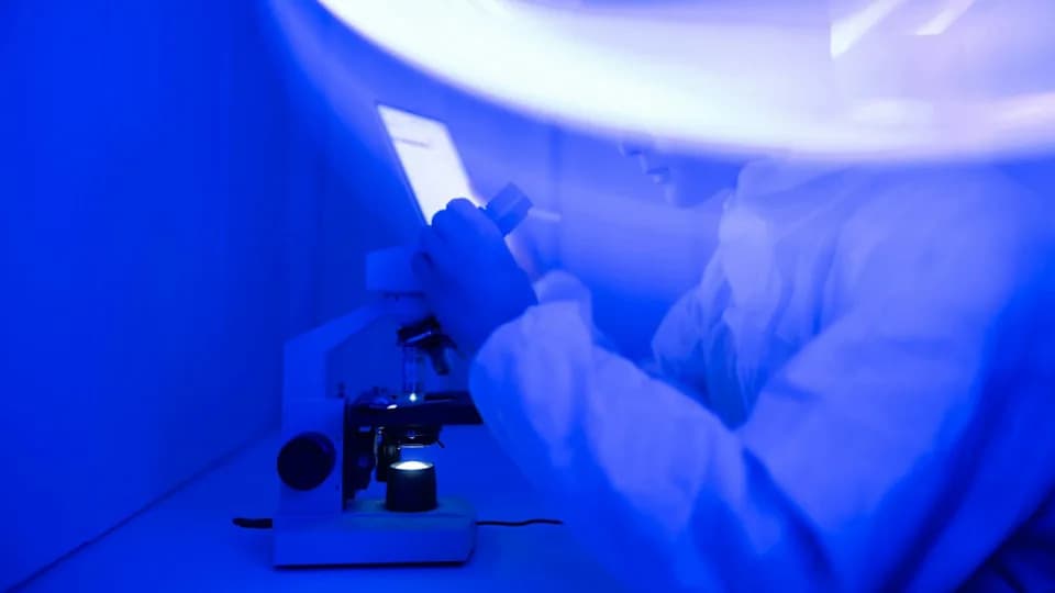 AI Can Accelerate Scientific Discovery — But It Can't Replace Human Scientists