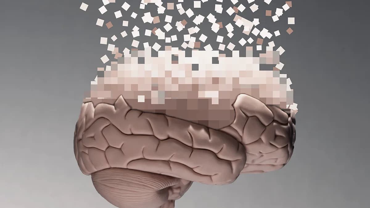 10,000 Brain Scans Reveal Why Episodic Memory Worsens With Age — And What Might Help