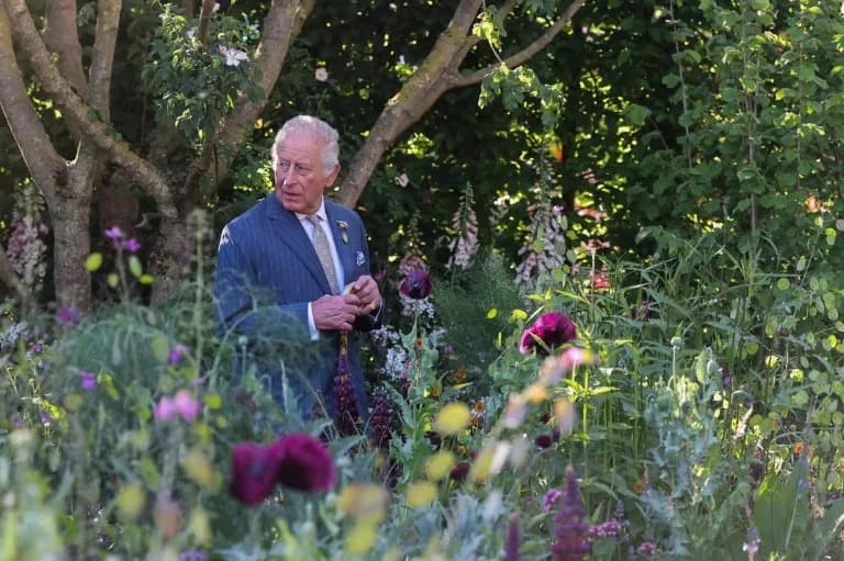 King Charles III: 'Rapidly Going Backwards' — Urgent Call To Accelerate Climate And Biodiversity Action