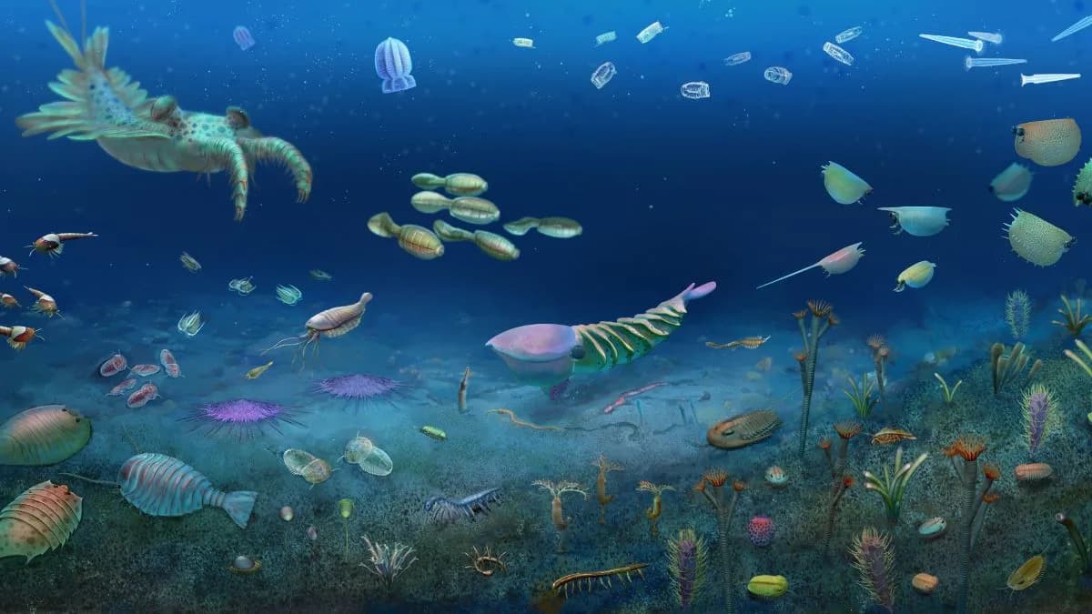 Huayuan Fossil Site Reveals Rapid Ecosystem Recovery After Major Cambrian Extinction
