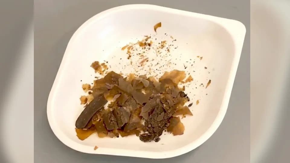 1,900‑Year‑Old Roman Vial Shows Human Feces Used as Medicine — Thyme Added to Mask Odor