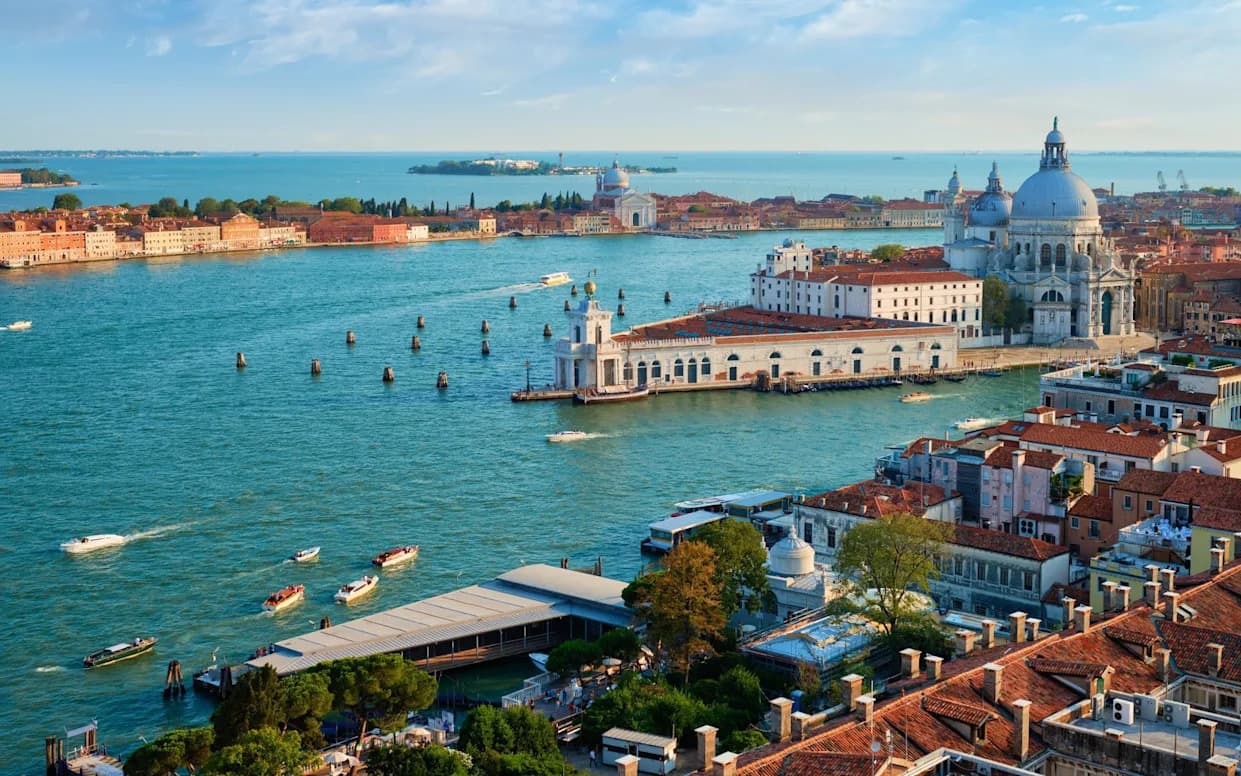 Venice Overrun by Cannibalistic Warty Comb Jelly, Threatening Fisheries