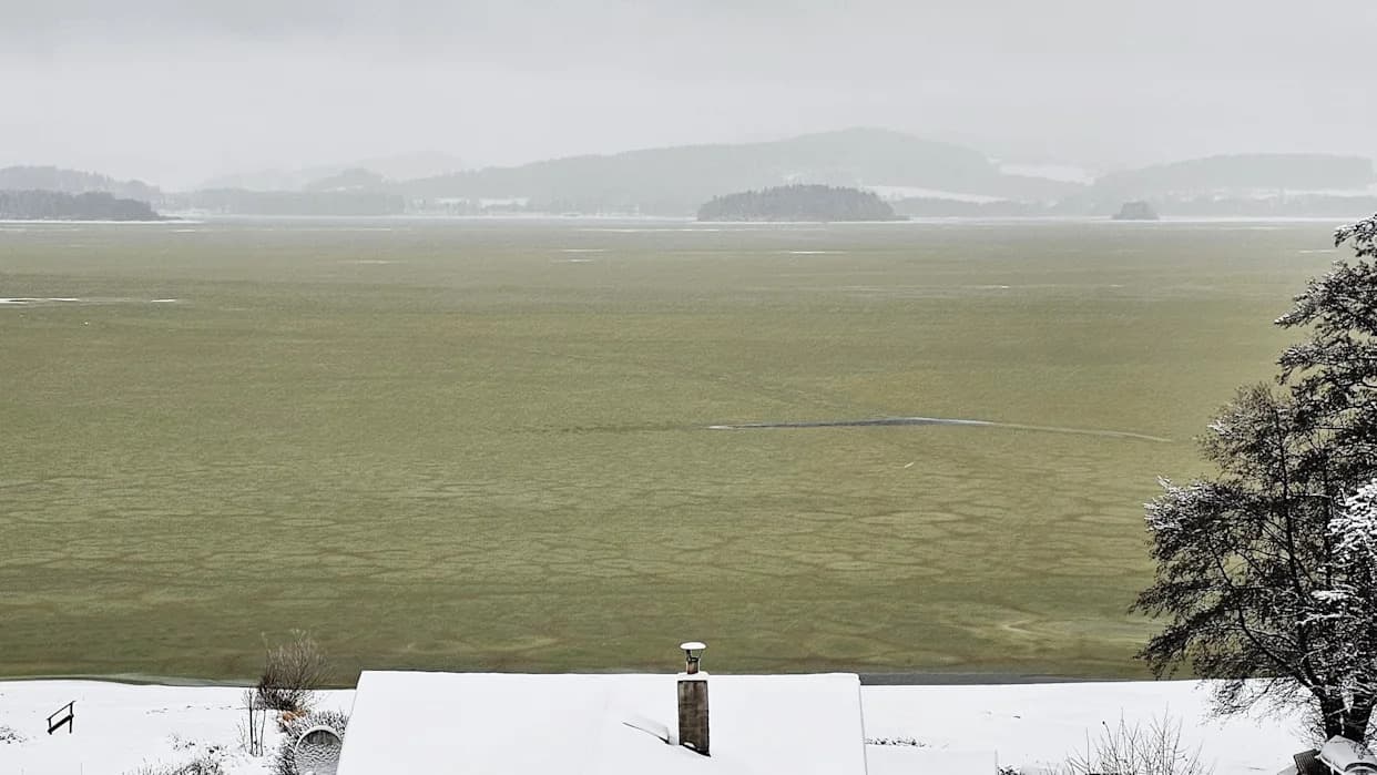 Emerald Ice: Toxic Cyanobacteria Bloom Persists Under Lake Lipno’s Winter Surface
