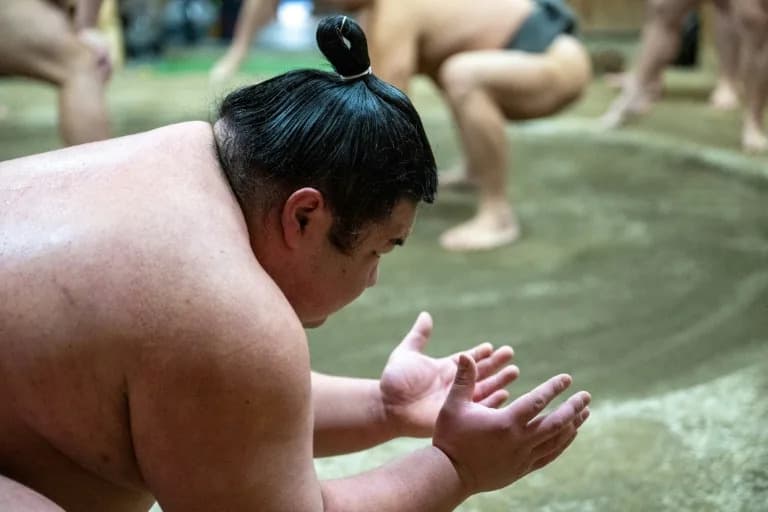 Sumo Diplomacy: Japan's Heavyweight Ambassadors Return to the World Stage