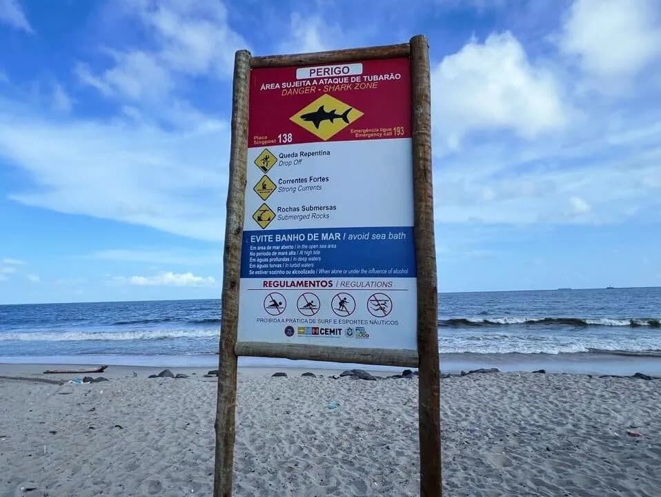 13-Year-Old Killed in Shark Attack Off Popular Pernambuco Beach