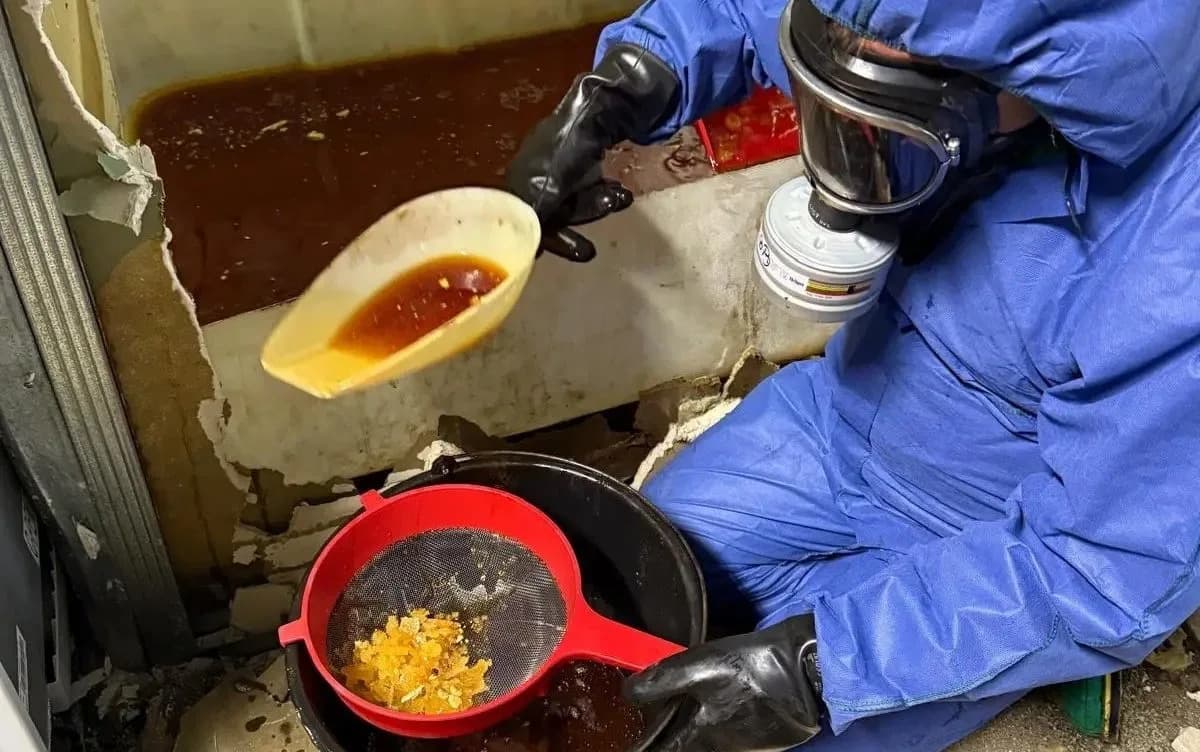 China-Sourced Chemicals Fuel European Synthetic Drug Labs — Experts Warn of ‘Hybrid Warfare’