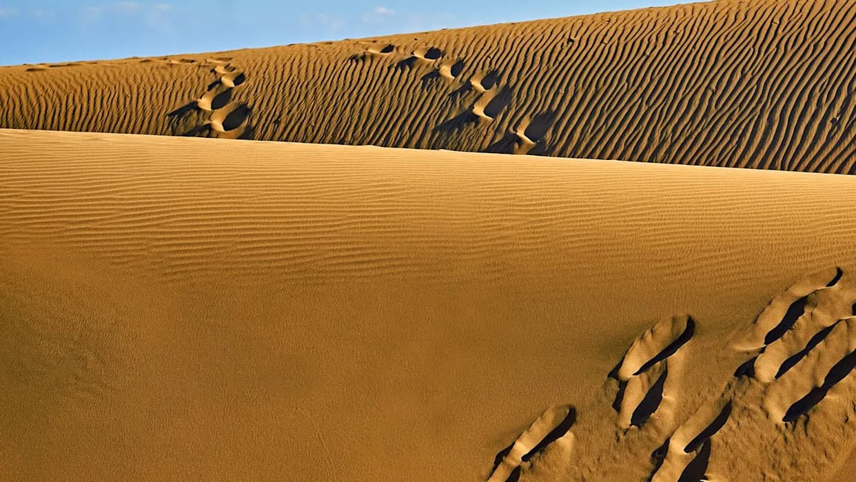 7,000-Year-Old Sahara Mummies Reveal a Previously Unknown North African Ancestry