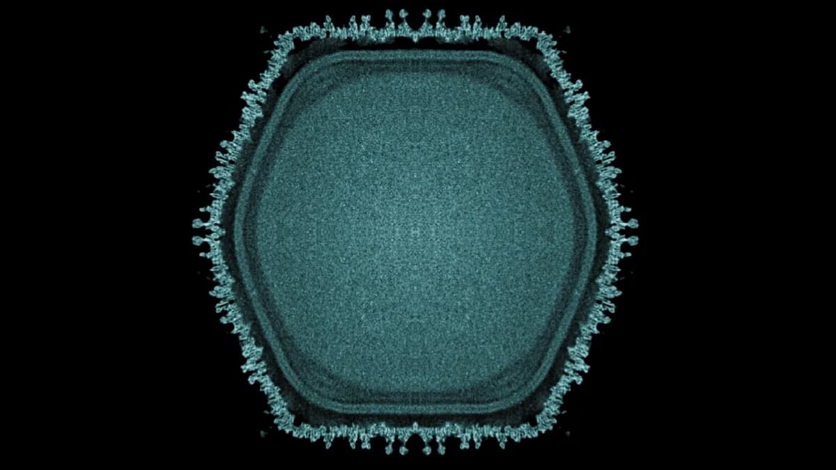 New Giant Virus 'Ushikuvirus' From Japanese Pond Offers Clues to the Origin of Eukaryotic Cells