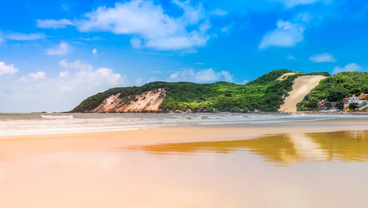 Arauco’s $4.6B Cerrado Mill Sparks Outcry Over Biodiversity, Water and Monoculture Risks