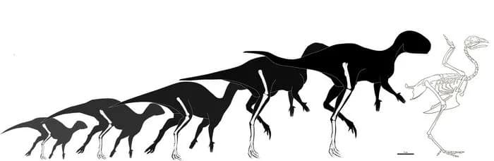 Chicken-Sized Dinosaur From Spain Challenges Evolutionary Ideas