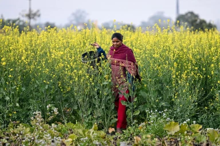 Rural India Powers Global AI: Farmers By Day, Data Annotators By Night
