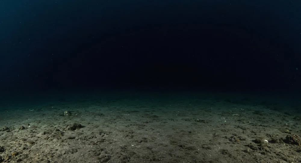 Marine Darkwaves: The Rising Threat of Underwater Darkness and Its Toll on Sea Life