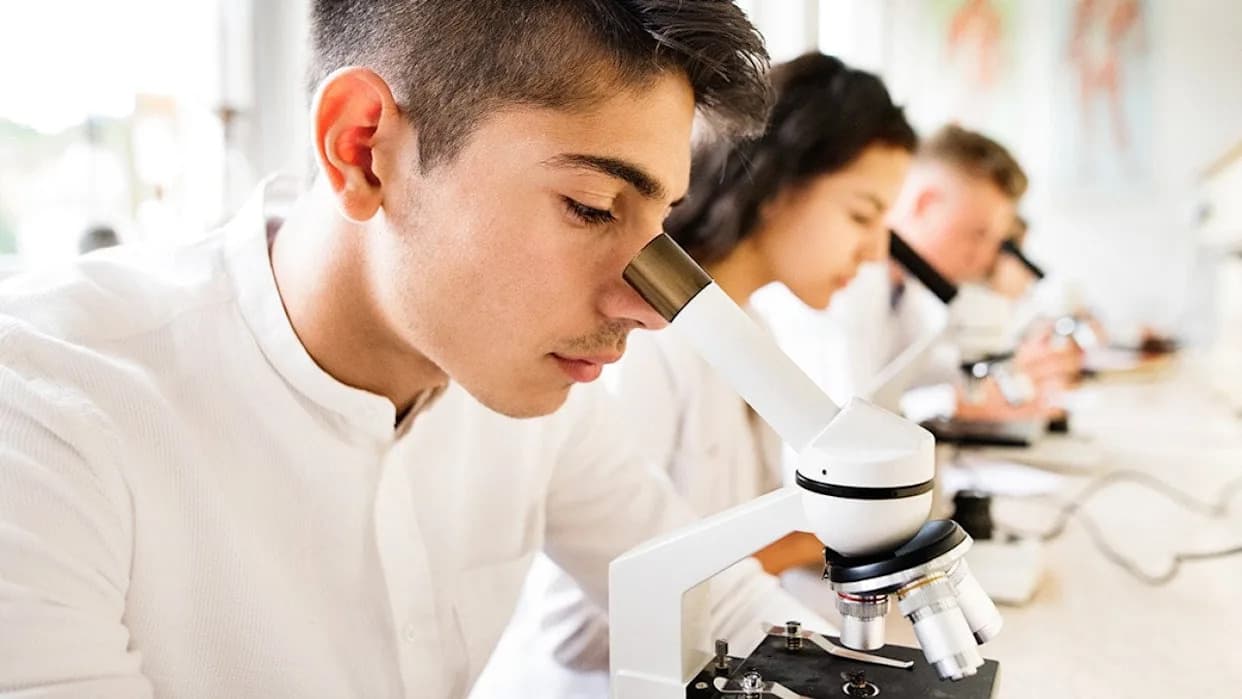 NAEP: U.S. Eighth-Grade Science Scores, Confidence and Interest Fall to 2009 Levels