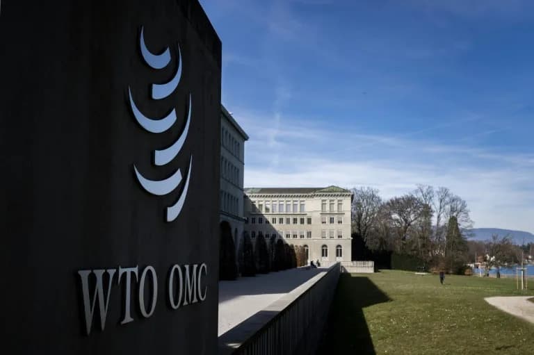 WTO at a Crossroads: 'Reform Or Die,' Facilitator Says Ahead Of Yaoundé Meeting