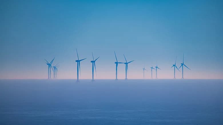How Offshore Wind Parks in the North Sea Are Boosting Marine Life — Not Just Power