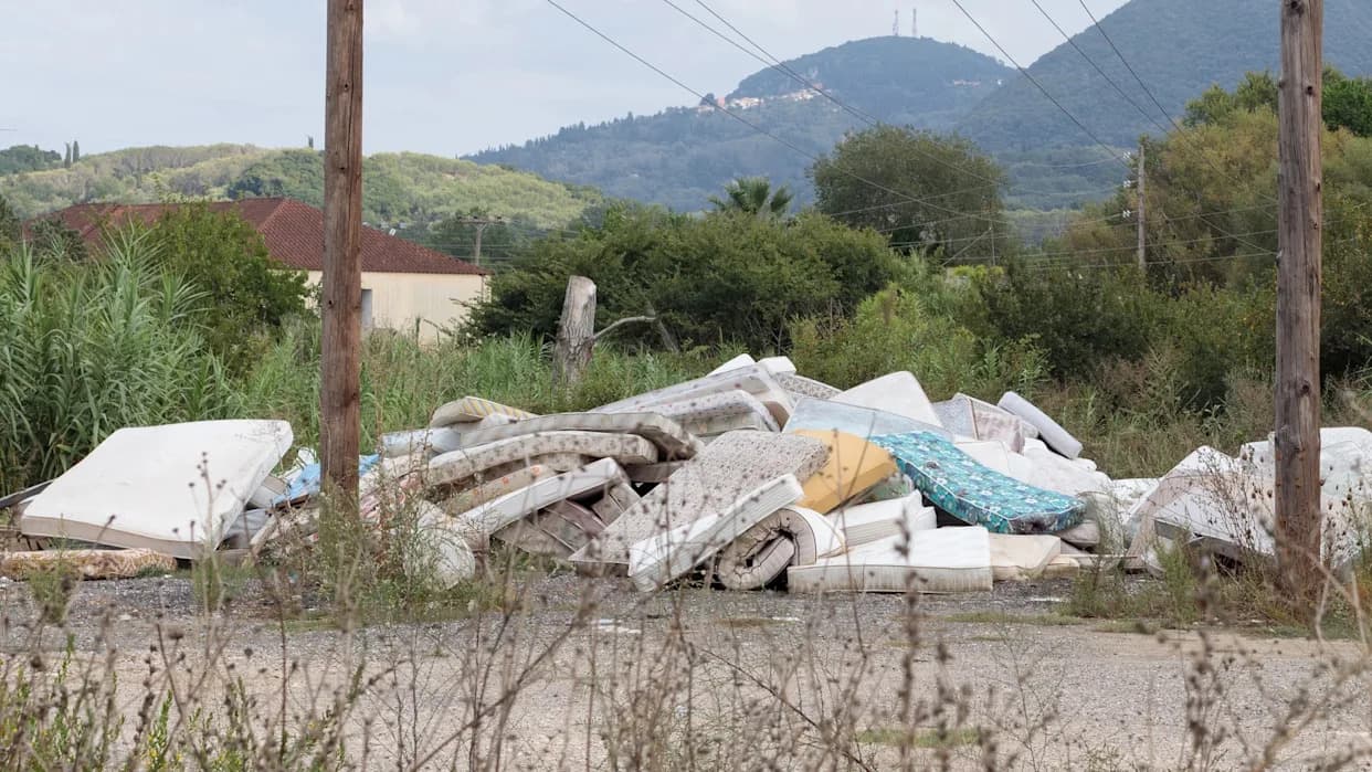 Fungus Converts Old Mattresses Into Fire-Resistant Insulation