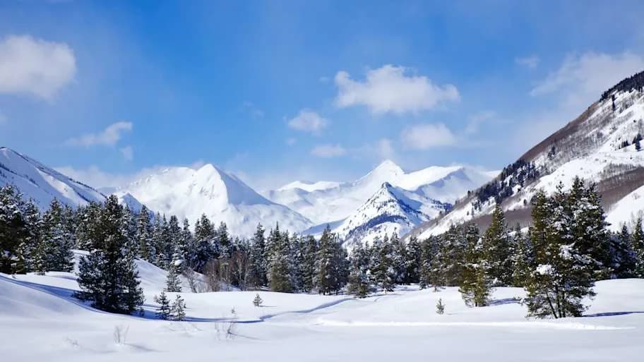 Five Chilling Discoveries Hidden in Snow — From Deadly Radioactive Cans to Stardust