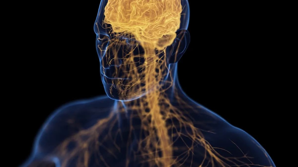 New Research Highlights a 'Bone–Brain Axis' That May Link Depression and Osteoporosis