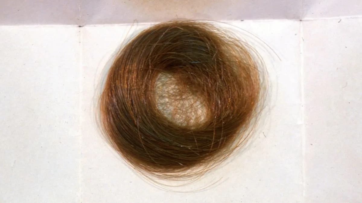 Century-Old Mormon Hair Reveals Dramatic Drop in Lead Exposure After EPA Regulations