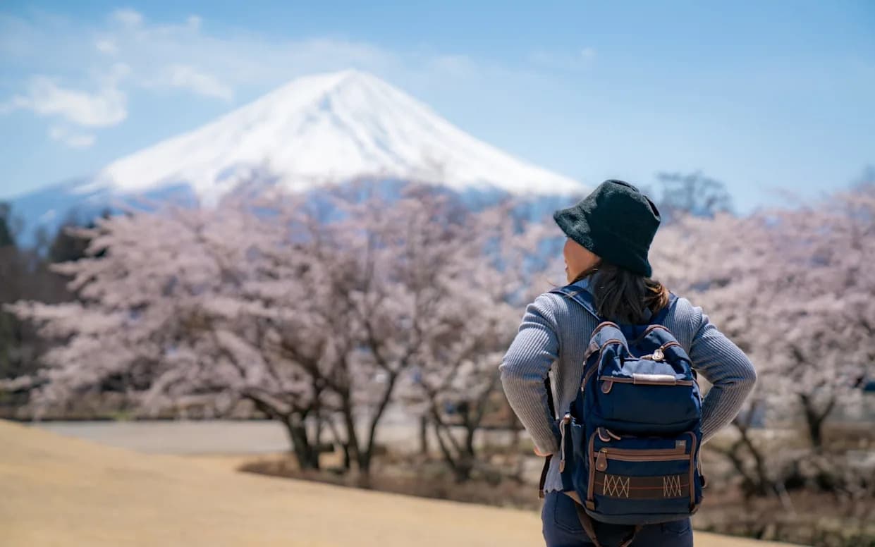 Mount Fuji Cherry Blossom Festival Cancelled After Reports Of Tourist Misconduct