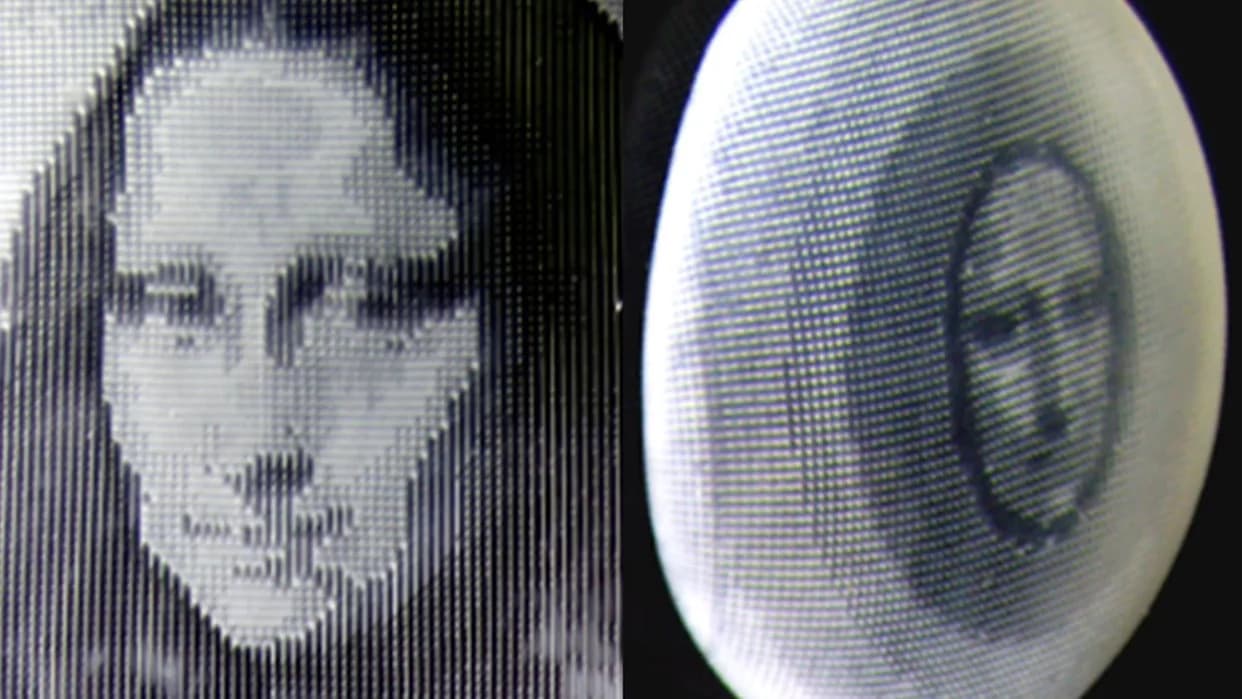Penn State's '4D' Hydrogel Skin Reveals a Hidden Mona Lisa When Heated