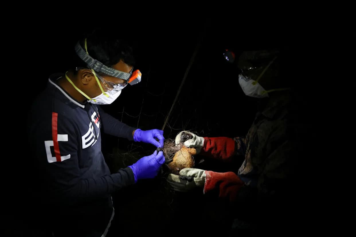 WHO Confirms Fatal Nipah Case in Bangladesh; International Spread Risk Remains Low