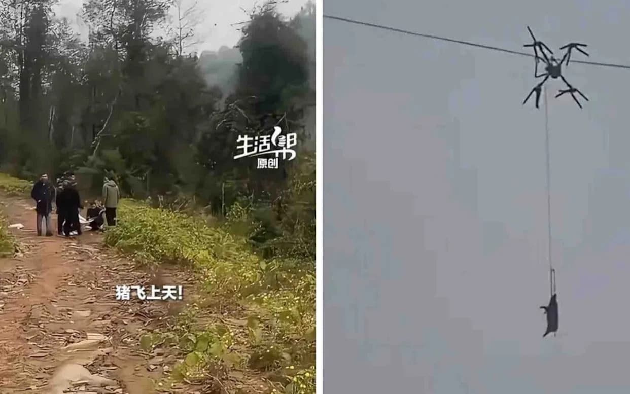 Drone Tether Snags Power Line, Leaves Pig Dangling and Plunges Sichuan Village Into 10-Hour Blackout