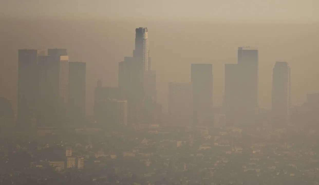 Underground Allies: Mycorrhizal Fungi May Store ~36% Of Annual Atmospheric Carbon — A ‘Blind Spot’ For Climate Policy