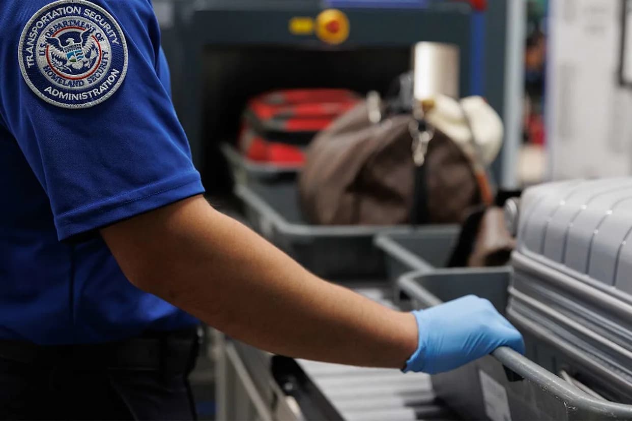 TSA’s Top 10 Worst Packing Decisions of 2025 — From Replica Bombs to Hidden Turtles