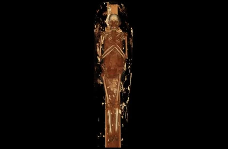 CT Scans of Two Ancient Egyptian Priests Reveal Back Pain, Dental Decay — 3D Prints to Debut at LA Exhibit