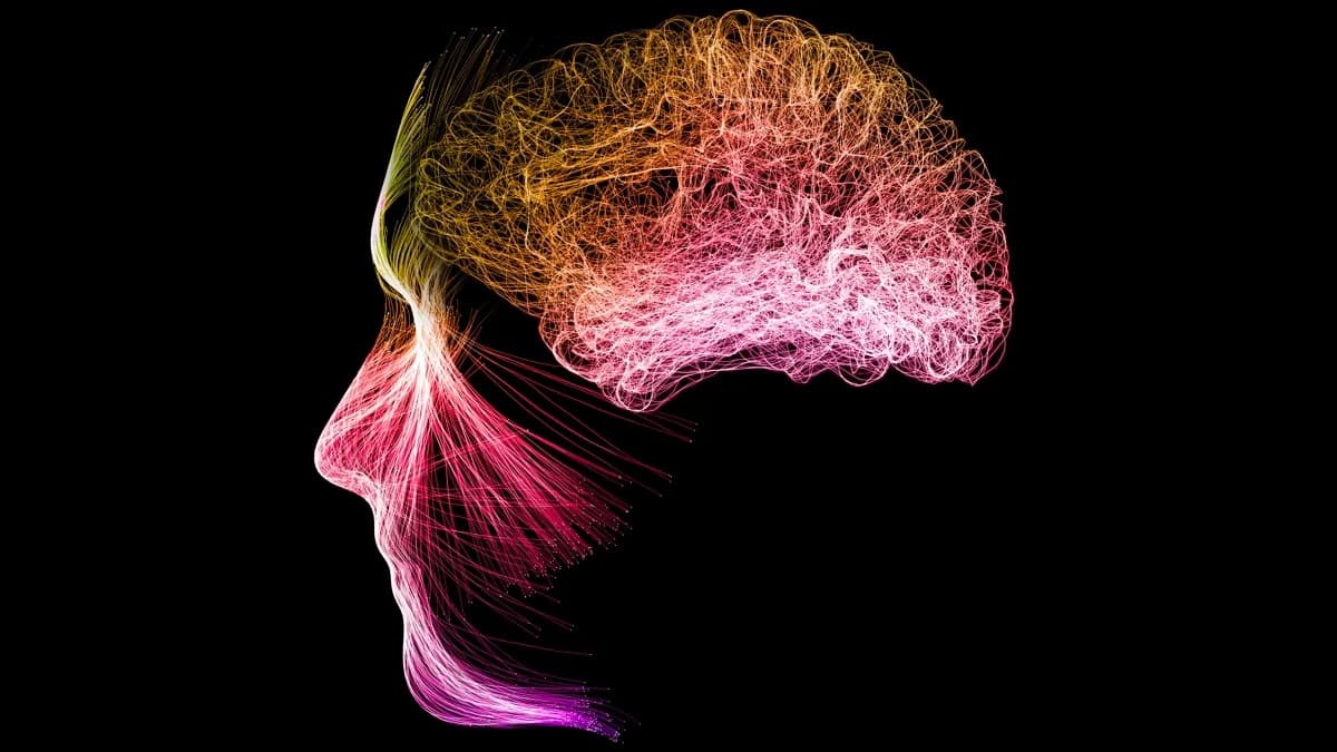 Meditation Can Reshape Your Brain: Study Finds Focused and Open Practices Produce Distinct Neural States