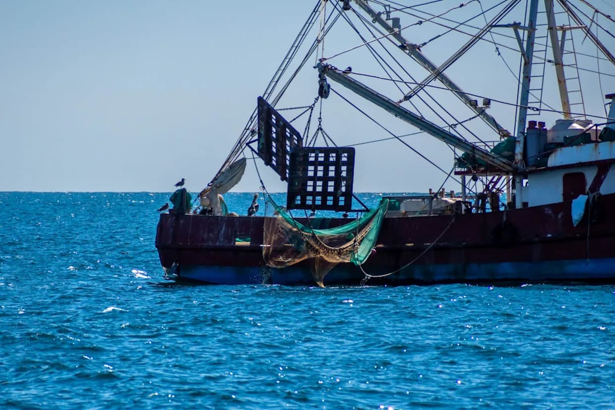 Study: Bottom Trawling May Release ~408 Million Tons Of Carbon — An Overlooked Climate Risk