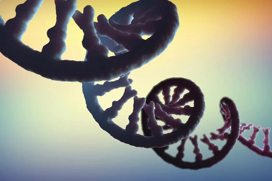 RNA Holds the Genome’s Dark Matter — Scientists Are Sequencing It To Illuminate Health and Disease