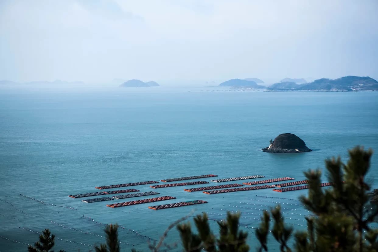 Study Warns Rising Sea Temperatures Could Trigger Mass Die-Offs — Korea's Seafood Industry at Risk