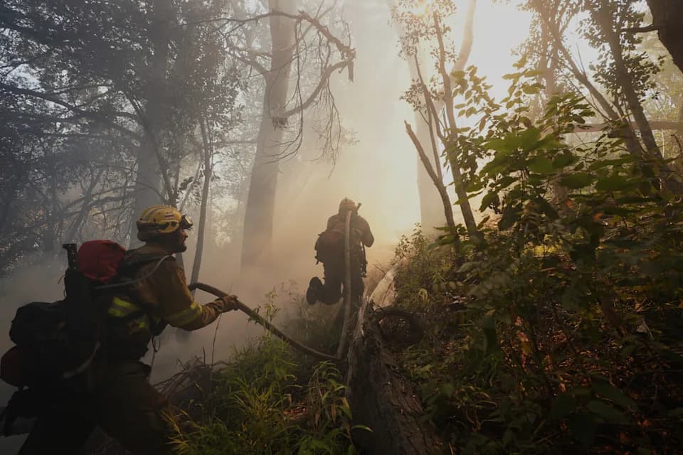 Study: Human-Caused Warming Made Devastating Wildfires In Chile And Argentina Far More Likely