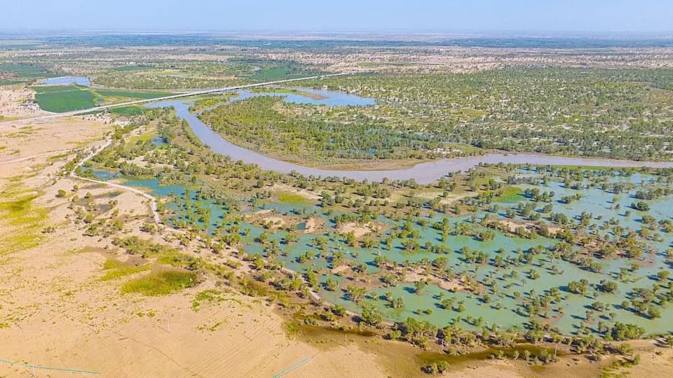 China’s Great Green Wall Turns Taklamakan’s Rim Into a Carbon Sink