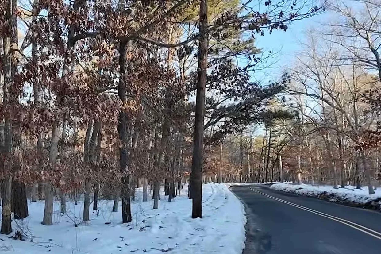 Search For Missing Grandmother Turns Into Homicide Probe After Remains Found In Long Island Woods