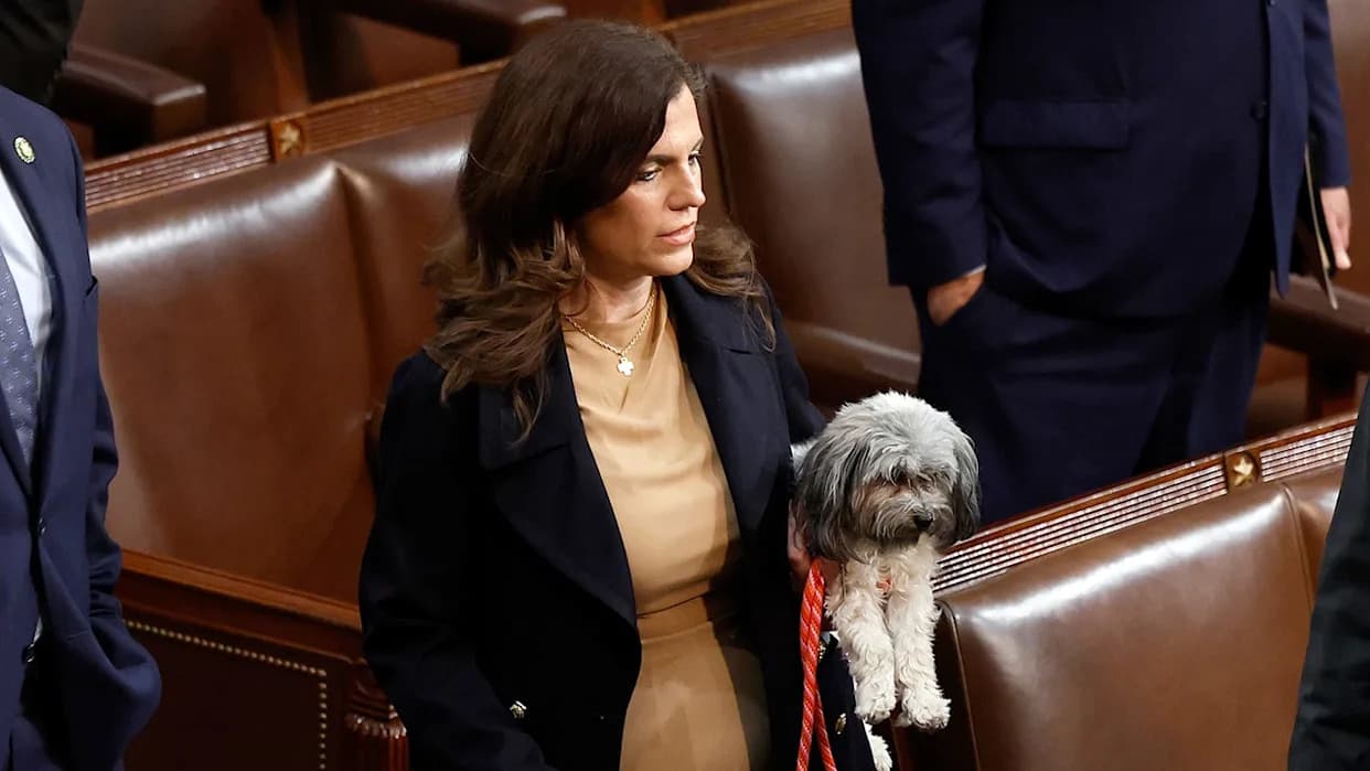 Rep. Nancy Mace Introduces Bill To Deport Undocumented Immigrants Convicted Of Animal Cruelty