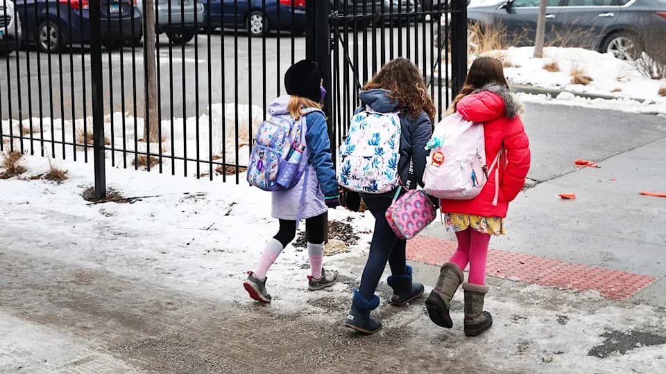 FOIA Documents Reveal Oswego District 308’s 2026 DEI Roadmap Amid Controversy Over Race-Based Student Grouping