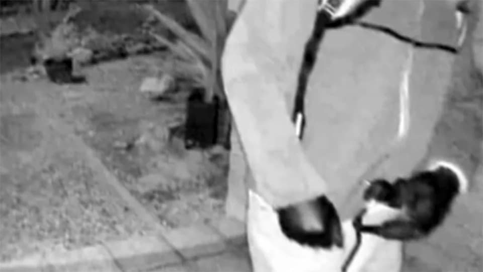 FBI Asked Tucson Gun Shop To Cross-Check Sales Against Photo List In Nancy Guthrie Probe